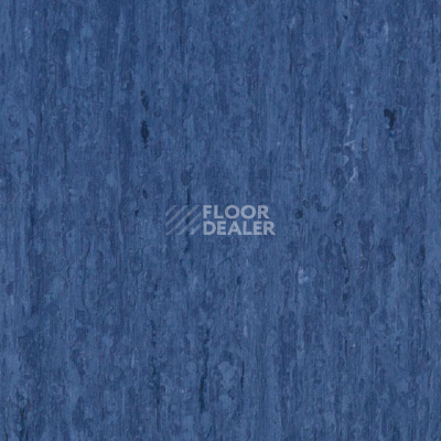 Линолеум Tarkett iq Optima DARK RED BLUE 0849 фото 1 | FLOORDEALER